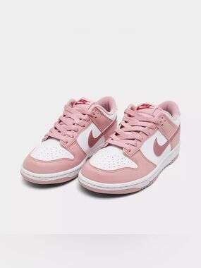Youth Nike Dunk Low Casual Shoes